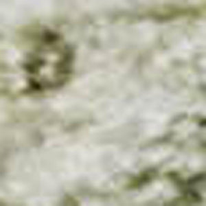 HomeRoots 10' X 14' Beige and Green Oriental Area Rug - Stain Resistant, UV Protected, Non-Slip for Durability 700643