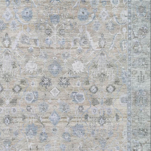 HomeRoots 5' X 8' Beige and Blue Oriental Area Rug – Stylish, Washable, UV-Protected with Stain Resistance! 700879
