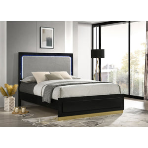 English Elm Sophia Modern Black Eastern King Panel Bed with Light Grey Upholstered LED Headboard & Gold Accents B062S01056