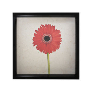 Gerber Daisy 7011-1251 Elk Home