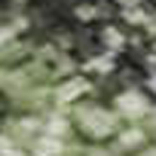 HomeRoots 5' X 8' Stylish Artichoke Green & Purple Floral Washable Area Rug with UV Protection & Non-Slip Backing 701403