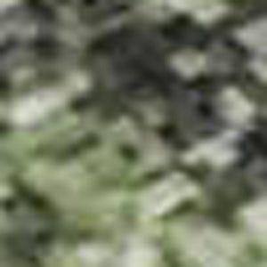 HomeRoots 8' X 10' Washable Floral Area Rug in Artichoke Green & Purple - Durable, UV-Protected, Easy Care! 701405