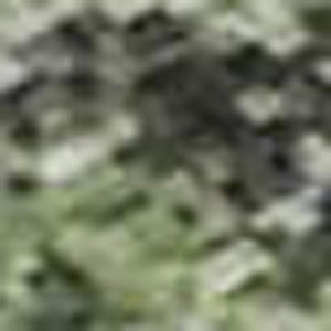 HomeRoots 9' X 12' Artichoke Green Floral Area Rug – Washable, UV Protected, Kid & Pet Friendly, Durable Design 701406