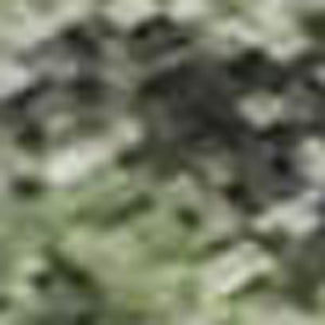 HomeRoots 10' X 14' Artichoke Green & Purple Floral Rug - Durable, Washable, UV Protected for Busy Homes 701407