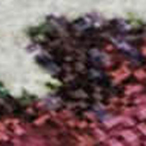 HomeRoots 5' X 8' Navy Blue Area Rug with Gold & Red Floral Design - Washable, UV Protected & Stain-Resistant! 701625