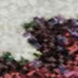 HomeRoots 10' X 14' Floral Area Rug in Navy, Gold & Red – Washable, UV Protected, Stain Resistant for Homes 701629