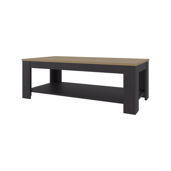 English Elm Coffee Table modern 16.2" H with 1 Shelf and Door, Space-Saving Engineered Wood Storage Solution Natural+Black 51.97 L x 28.74 W x 3.15 H B097P395881