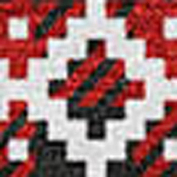 HomeRoots 5' X 8' Bold Red, Black, and Ivory Abstract Area Rug - Washable, UV-Protected, Non-Slip Design! 701992