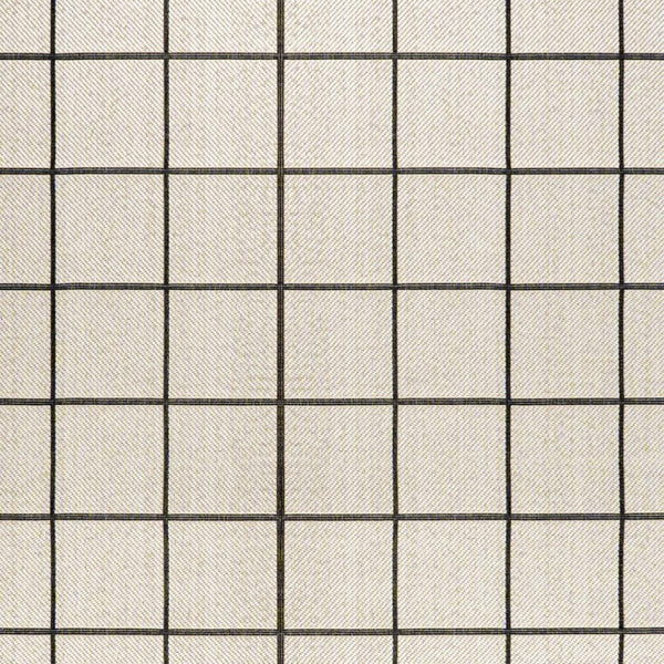 HomeRoots 5' Classic Cream and Dark Gray Plaid Indoor Outdoor Area Rug - Stylish, Durable, Perfect for Any Space 702631