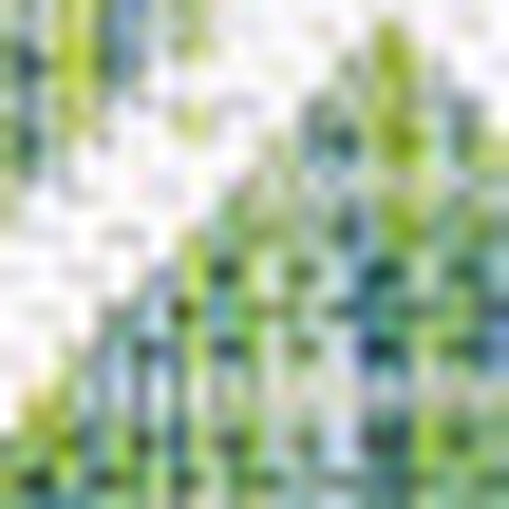 HomeRoots 5' Trellis Indoor Outdoor Area Rug in Green and Cream - Elegant, Durable, Low-Maintenance Design! 703047