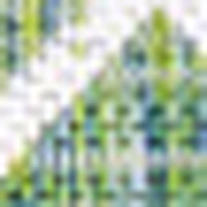 HomeRoots 5' Trellis Indoor Outdoor Area Rug in Green and Cream - Elegant, Durable, Low-Maintenance Design! 703047