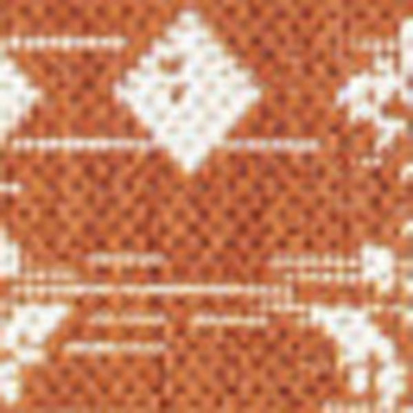 HomeRoots 5' Vibrant Orange and Cream Trellis Area Rug – Stylish, Durable Indoor/Outdoor Decor for Any Space 703057