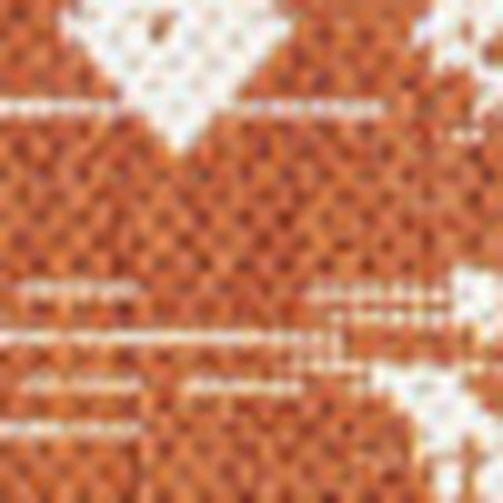 HomeRoots 9' X 12' Orange and Cream Trellis Area Rug - Durable Indoor/Outdoor Solution for Stylish Spaces 703059