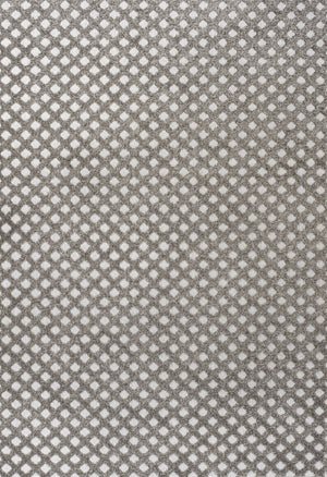 HomeRoots 5' Dark Gray and Ivory Trellis Area Rug – Stylish Indoor/Outdoor Carpet for Versatile Spaces, 5x8 703384