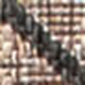 HomeRoots 20' Natural and Black Trellis Runner Rug - Stylish Indoor/Outdoor Accent for Hallways & Patios 703464