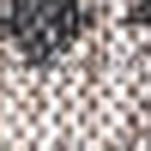 HomeRoots 6' Natural and Black Square Trellis Area Rug - Stylish, Durable, Low-Maintenance for Indoor & Outdoor Use 703468