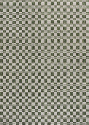 HomeRoots 8' X 10' Geometric Green and Cream Area Rug for Indoor-Outdoor Style, Durable, Easy-Clean & Chic 703547