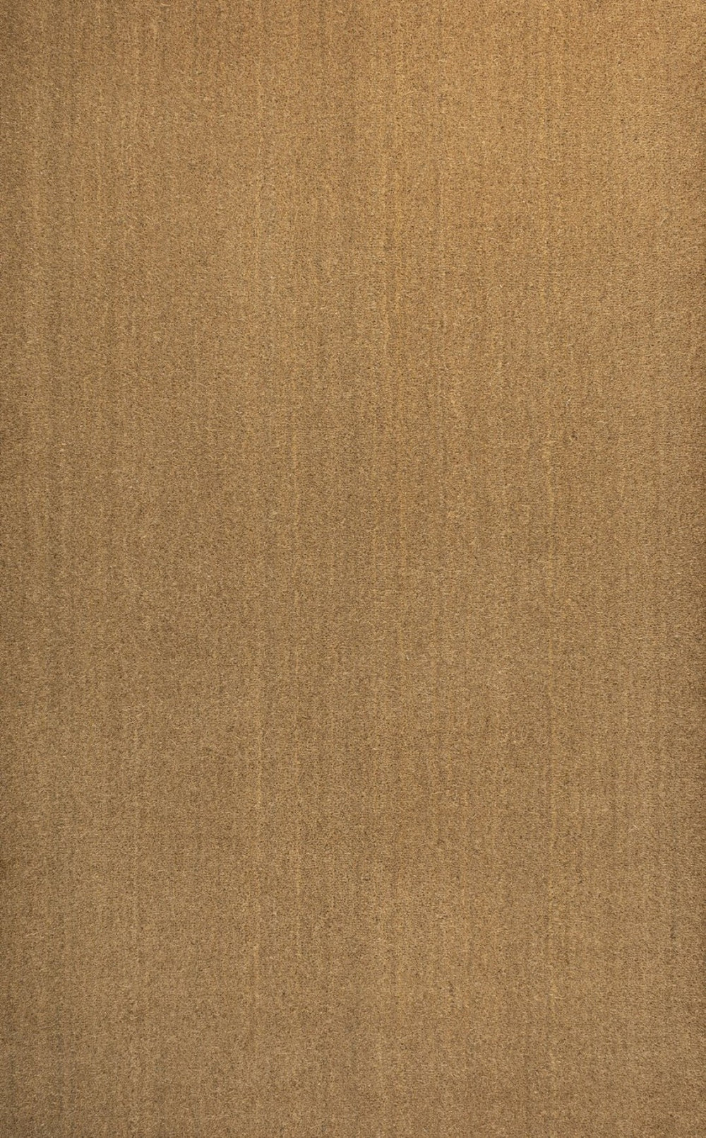 HomeRoots 6' X 9' Light Brown Area Rug - Versatile Indoor/Outdoor Design for Stylish Spaces & Easy Care! 703713