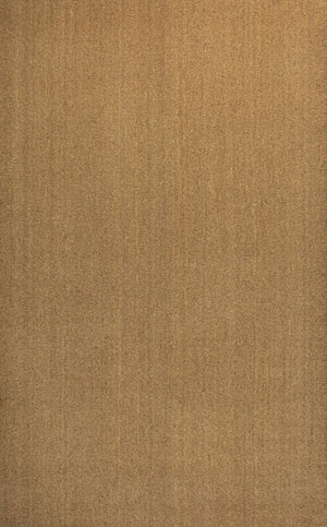 HomeRoots 6' X 9' Light Brown Area Rug - Versatile Indoor/Outdoor Design for Stylish Spaces & Easy Care! 703713