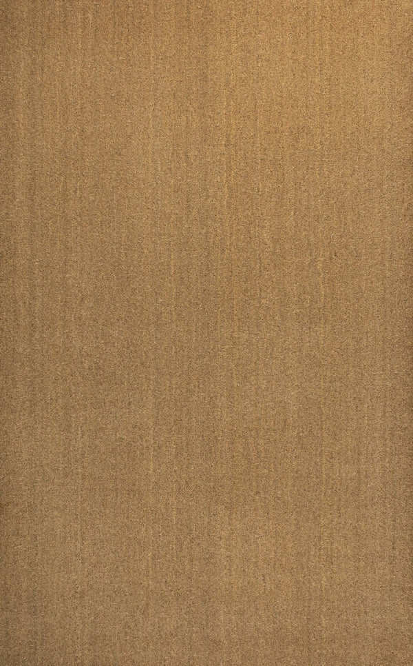 HomeRoots 6' X 9' Light Brown Area Rug - Versatile Indoor/Outdoor Design for Stylish Spaces & Easy Care! 703713