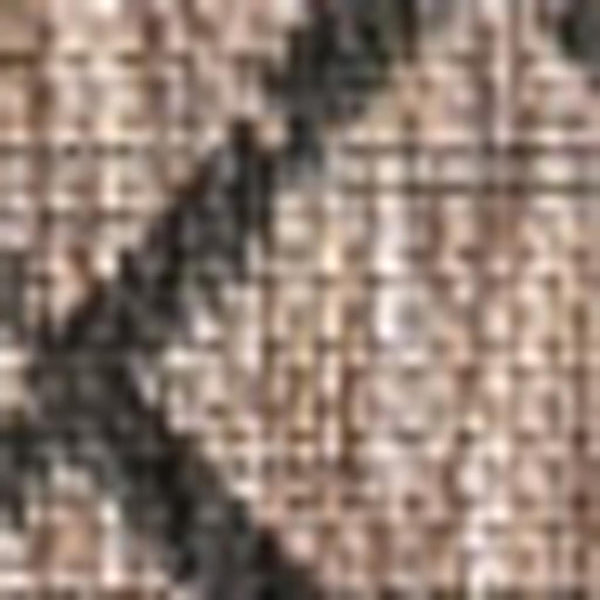 HomeRoots 5' Trellis Area Rug - Chic Natural & Black Design for Indoors & Outdoors, Durable & Easy Care! 703961
