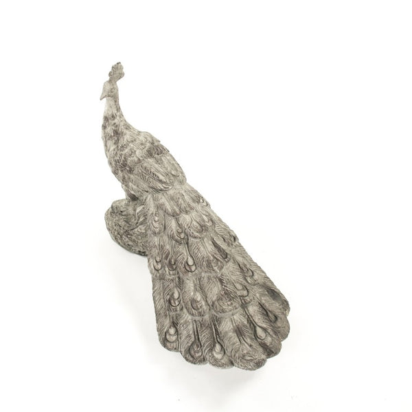 Zentique Grey Resin Peacock Statue with Intricate Feather Detail, Weather-Resistant Finish for Indoors Outdoors W25 x H17.75 x D12 7051L A539