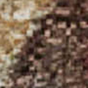HomeRoots 8' X 10' Durable Terra Cotta & Sage Floral Washable Area Rug with UV Protection for Easy Care 706395