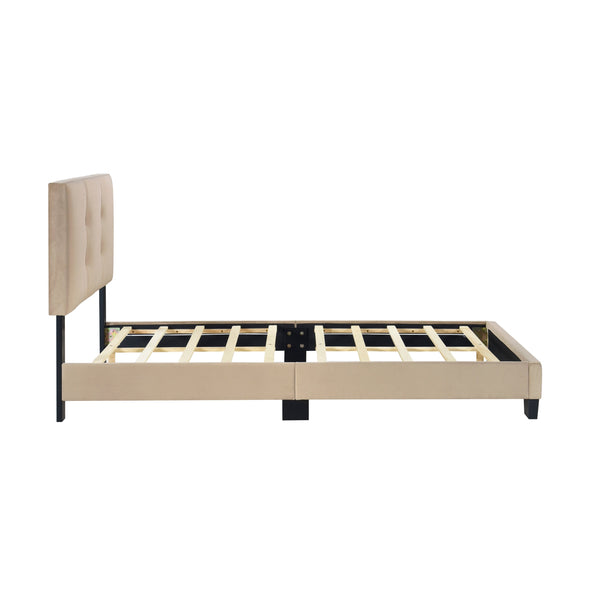English Elm 1pc Twin Platform Bed Velvet Upholstered Button-Tufted Headboard Adjustable Height Low-Profile Solid Wood Frame 42" x 79.5" Light Brown 44.5 L x 26 W x 5 H B011P203575