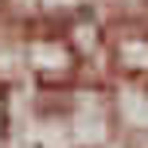 HomeRoots 10' X 14' Coral & Burgundy Abstract Area Rug – Washable, UV-Protected, Stain-Resistant & Stylish! 707629