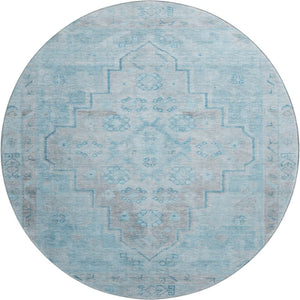 HomeRoots 8' X 10' Sky Blue & Gray Medallion Area Rug – Washable, UV-Protected, Durable for Homes with Kids & Pets 708077