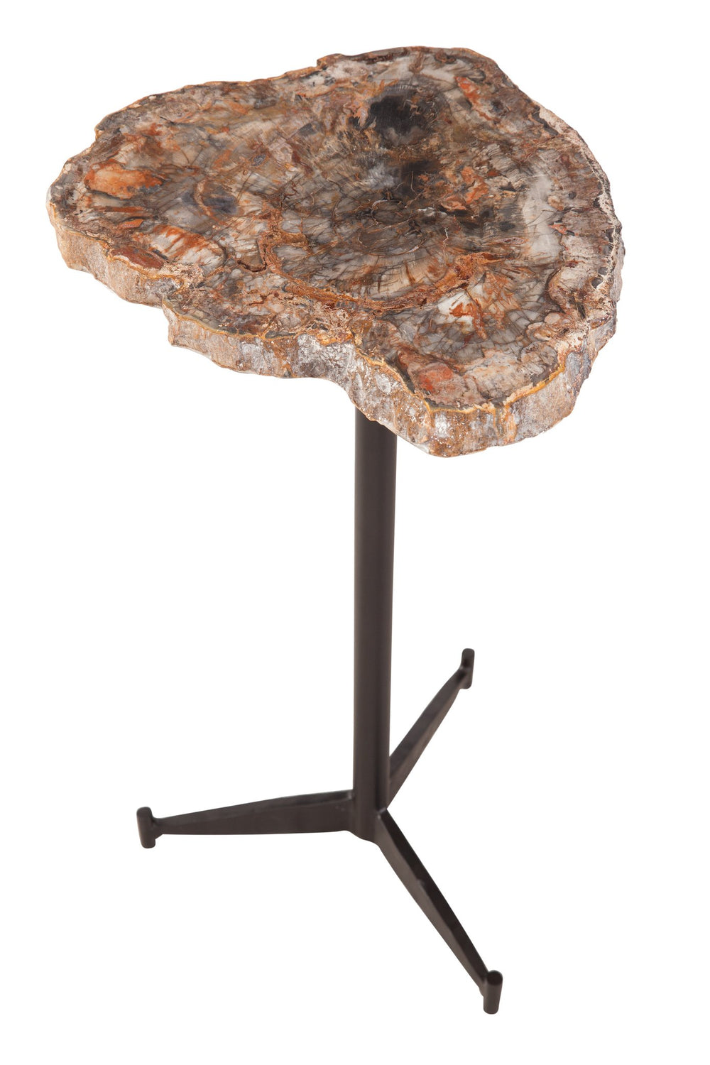 Basset Mirror Howe Accent Table - Unique Natural Petrified Wood Top With Stylish Matte Black Iron Base Design Brown Petrified Wood,Iron 7081-lr-223