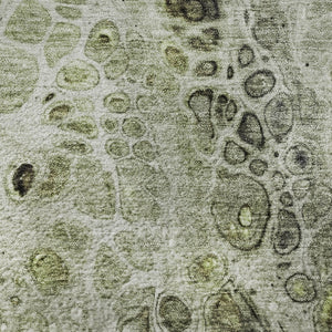 HomeRoots 8' X 10' Artichoke Green Gray Silver Abstract Area Rug – Washable, Non-Slip, UV Protected Beauty! 708545