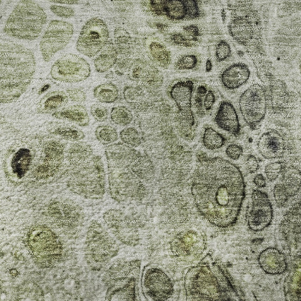 HomeRoots 8' X 10' Artichoke Green Gray Silver Abstract Area Rug – Washable, Non-Slip, UV Protected Beauty! 708545