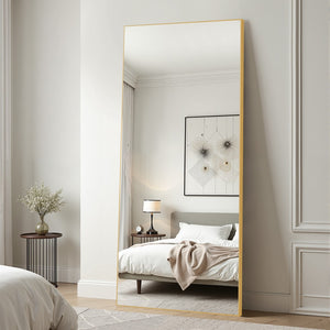 HomeRoots Black Freestanding Ornate Framed Accent Mirror - Elegant Full-Length Reflection for Any Room Style 708745