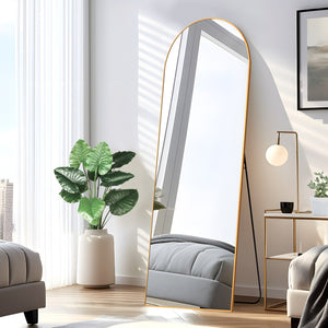 HomeRoots Black Arched Freestanding Accent Mirror with Ornate Frame - Elevate Your Space with Style & Elegance 708750