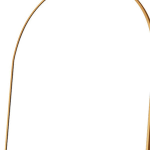 HomeRoots Black Arched Freestanding Accent Mirror with Ornate Frame - Elevate Your Space with Style & Elegance 708750