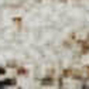 HomeRoots 10' Geometric Washable Area Rug in Brown, Ivory & Gray – Stain Resistant, UV Protected, Non-Slip Design 709462