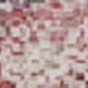 HomeRoots 9' X 12' Salmon Ivory Brown Abstract Washable Area Rug with UV Protection for Modern Spaces 709937