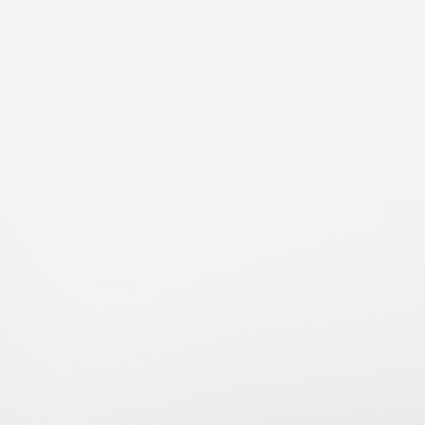 OSP Home Furnishings Sierra Writing Desk White Finish