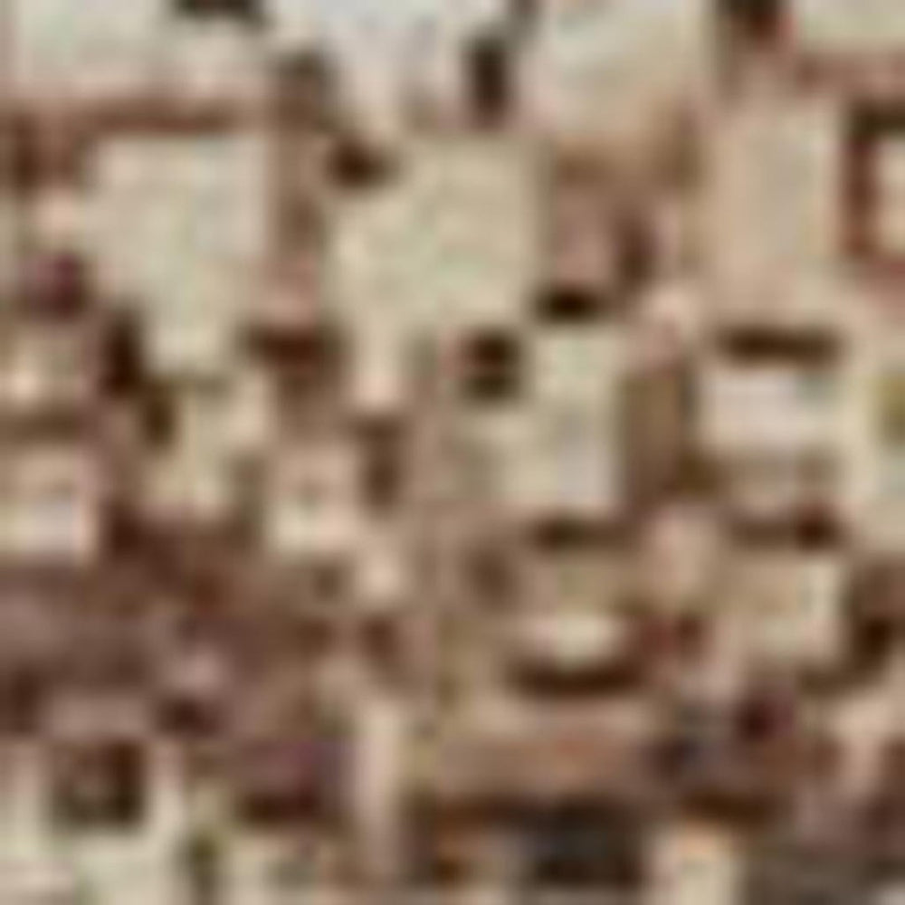 HomeRoots 10' X 14' Contemporary Taupe, Ivory & Rust Washable Area Rug with UV Protection for Homes & Pets 710628
