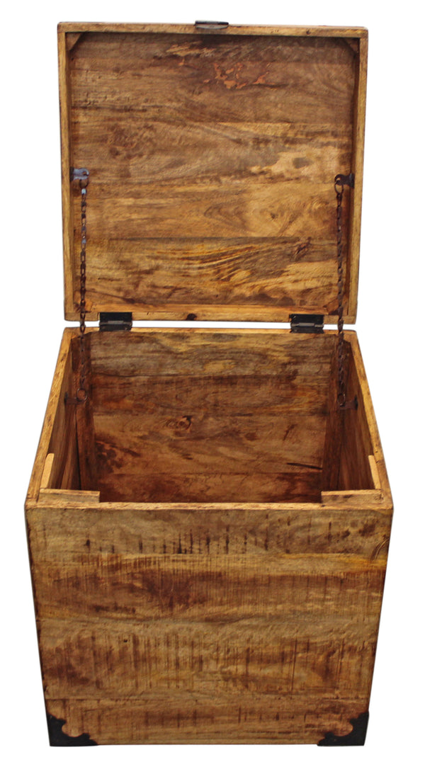 Moti Mateo Trunk End Table - Natural Finish 71107004