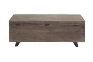 Moti Amanpour storage Chest - Brown 71113004