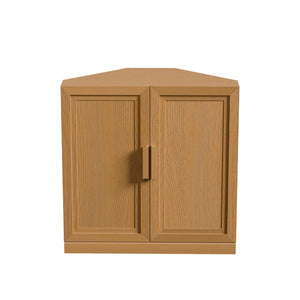 HomeRoots 31" Black Wood Corner Accent Cabinet – Stylish Storage Solution for Modern Spaces & Nooks 712122