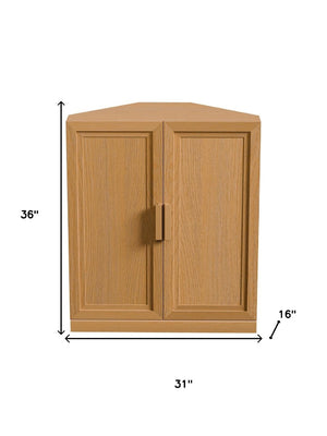 HomeRoots 31" Black Wood Corner Accent Cabinet – Stylish Space-Saving Storage with Two Doors for Any Room 712126