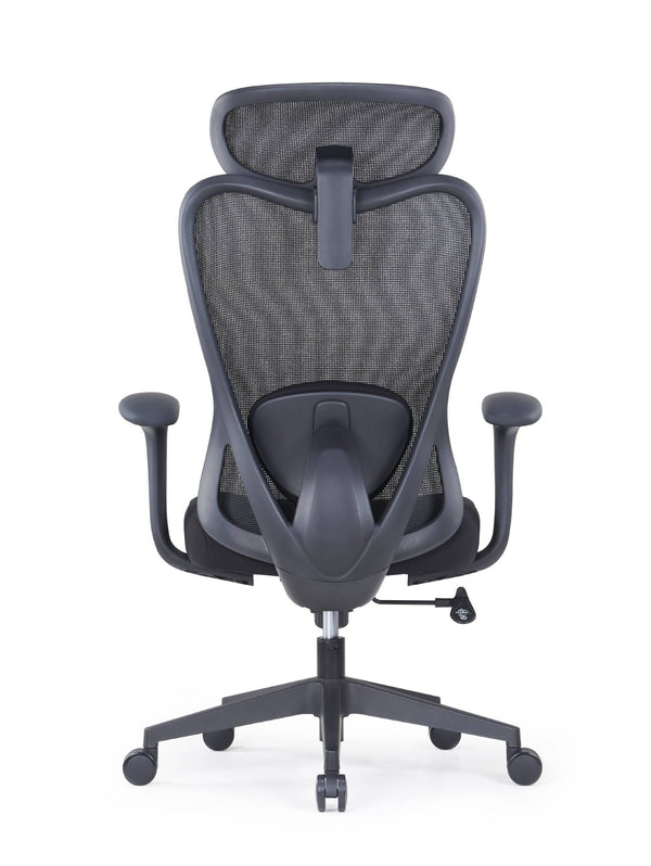 HomeRoots Black Ergonomic Adjustable Height Swivel Office Chair with Lumbar Support and Breathable Mesh Back 712835