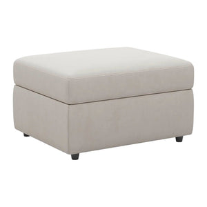 HomeRoots 30" Stylish Storage Ottoman - Versatile Seating with Hidden Space for Living Room Convenience and Elegance Chenille Beige 714337