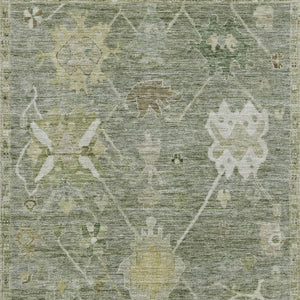HomeRoots 9' X 12' Sage & Beige Washable Area Rug – Elegant Oriental Design with UV Protection & Easy Care 714990