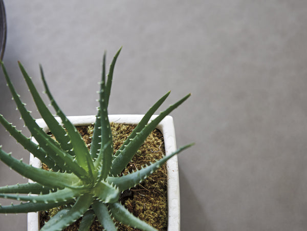 Lexington Litchfield Square Cocktail Table - Casual Sophistication With Burnished Steel Top And Antique Hardware Oyster  714-945