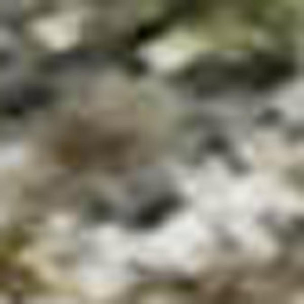 HomeRoots 5' X 8' Olive Green and Gray Abstract Area Rug - Washable, UV-Resistant, Perfect for Homes & Pets! 715563