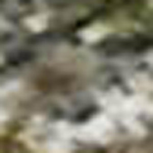 HomeRoots 8' Olive Green and Gray Abstract Washable Round Rug with UV Protection for Stylish Home Decor 715564